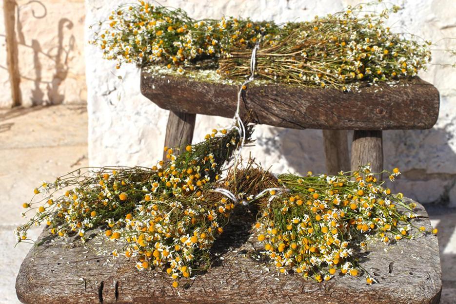 Salita Delle Pere Landhuis Alberobello